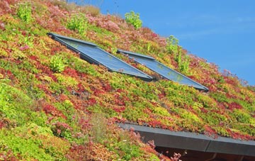 Boscomoor living roof systems