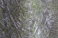 Boscomoor fibreglass roof work